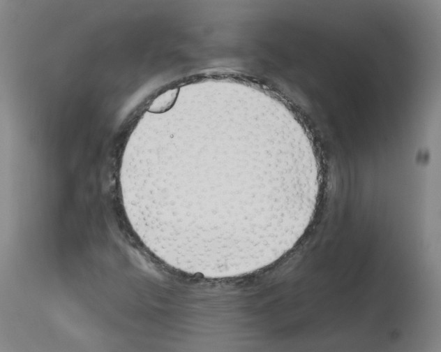 X0000114011400200911131152