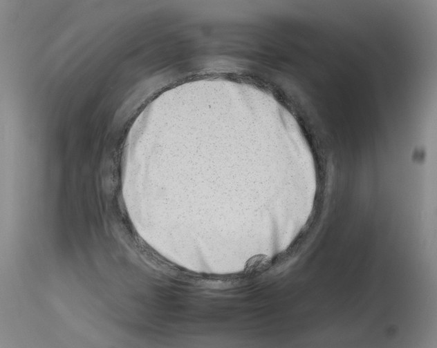 X0000114011401200911131152