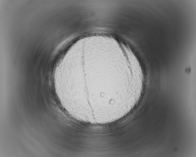 X0000114011402200911131152