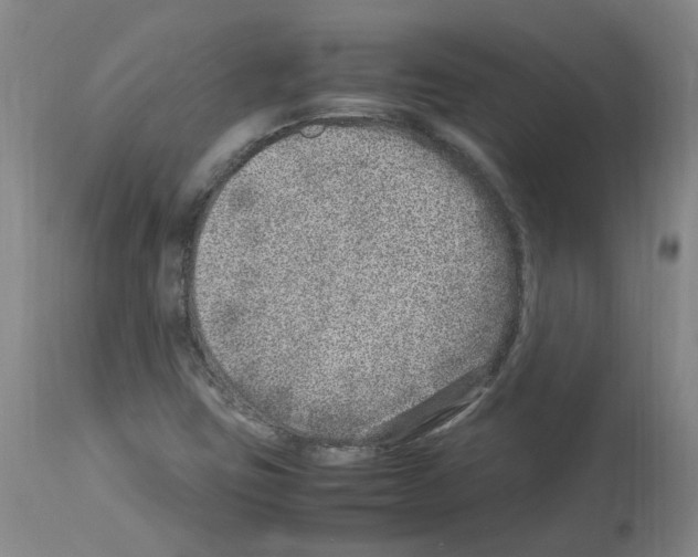 X0000114011403200911131153