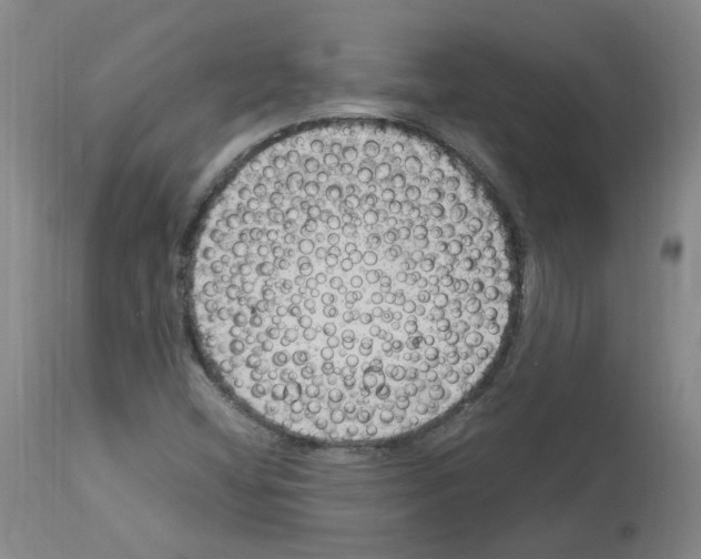 X0000114011404200911131153