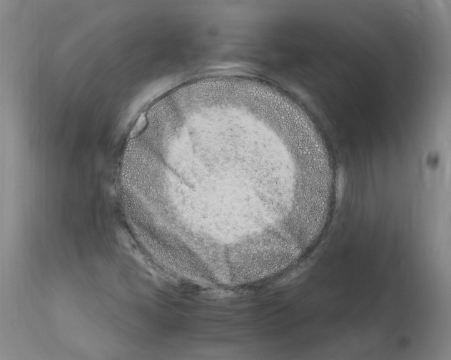 X0000114011405200911131153