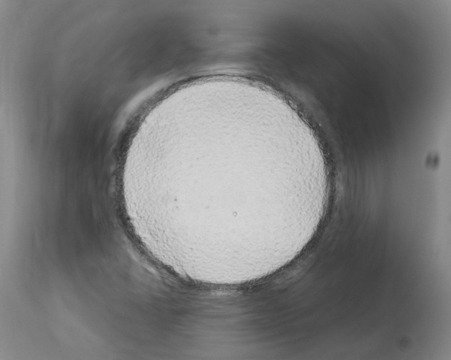 X0000114011406200911131153