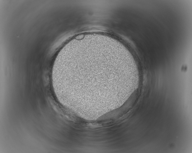 X0000114011407200911131153