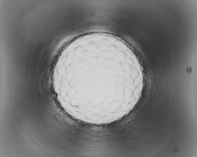 X0000114011408200911131153