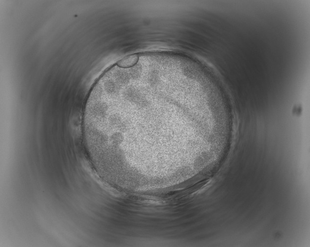 X0000114011409200911131153