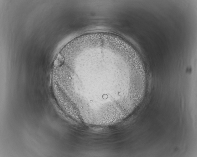 X0000114011413200911131153