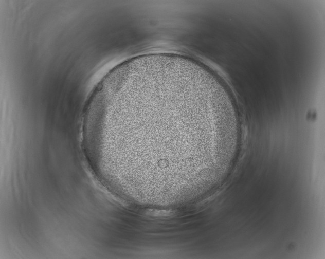 X0000114011415200911131153