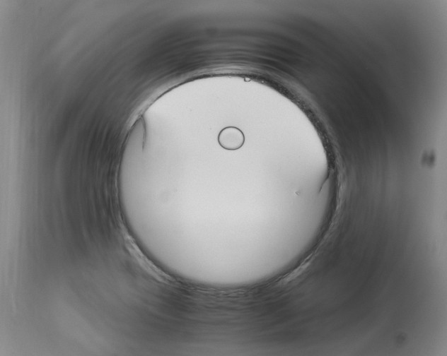 X0000114011417200911131153