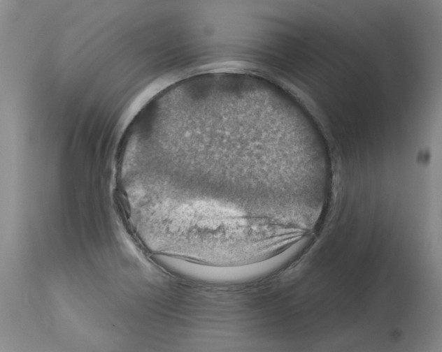 X0000114011418200911131153