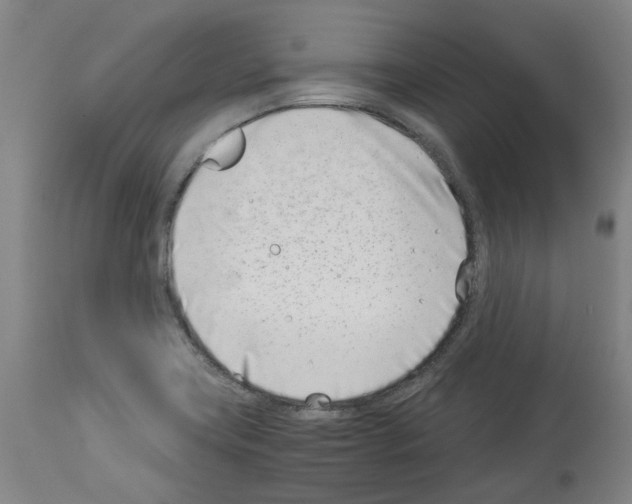 X0000114011419200911131153