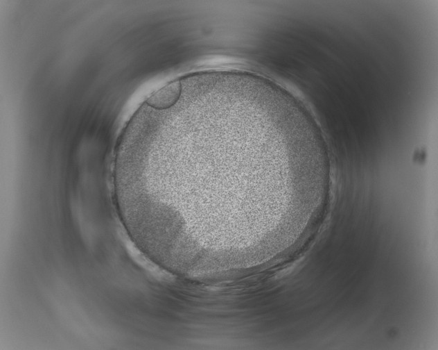 X0000114011421200911131153