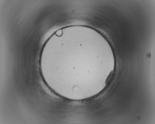 X0000114011422200911131153