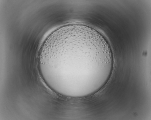 X0000114011424200911131153