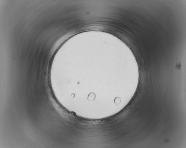 X0000114011426200911131153