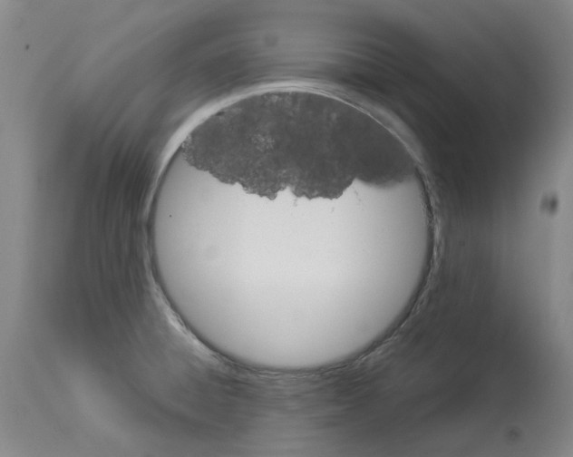 X0000114011428200911131153