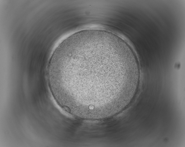 X0000114011429200911131153