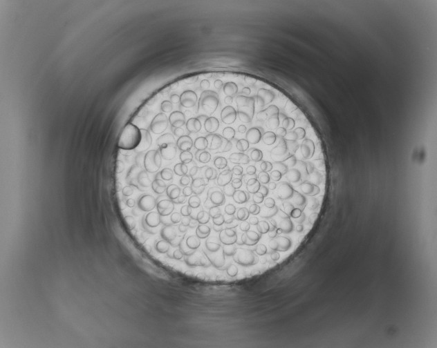 X0000114011432200911131153