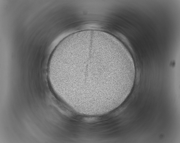 X0000114011435200911131153