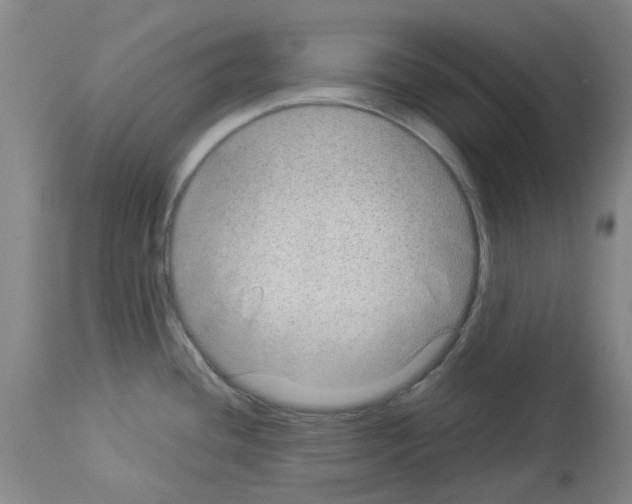 X0000114011436200911131153