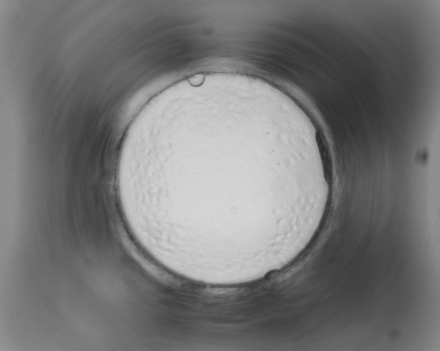 X0000114011437200911131153