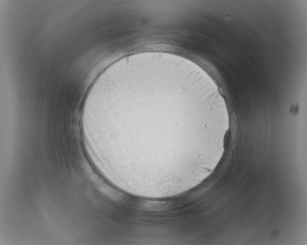 X0000114011439200911131153