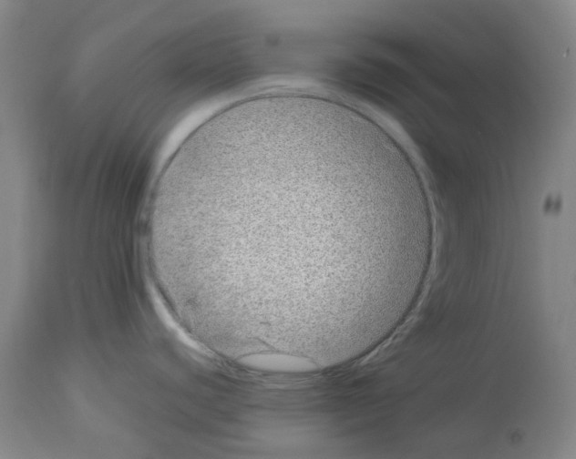 X0000114011440200911131153