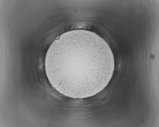 X0000114011442200911131152