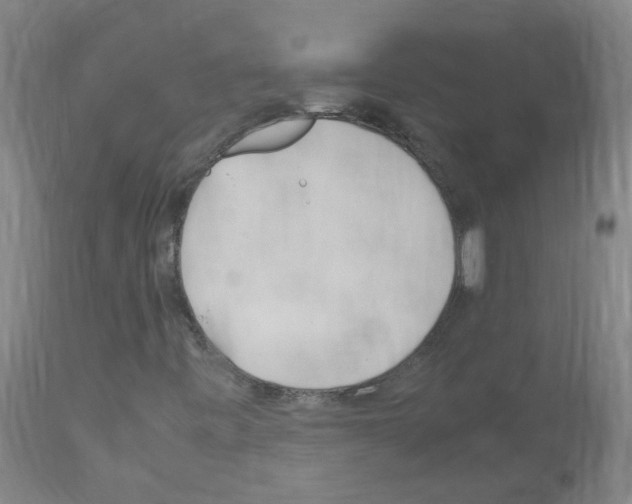 X0000114011443200911131152