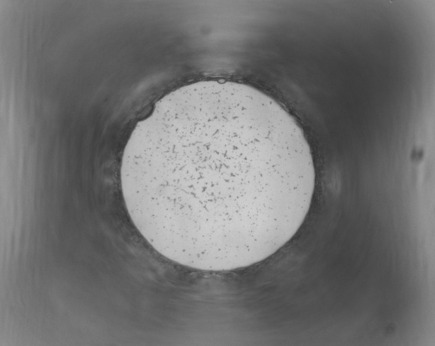 X0000114011445200911131152