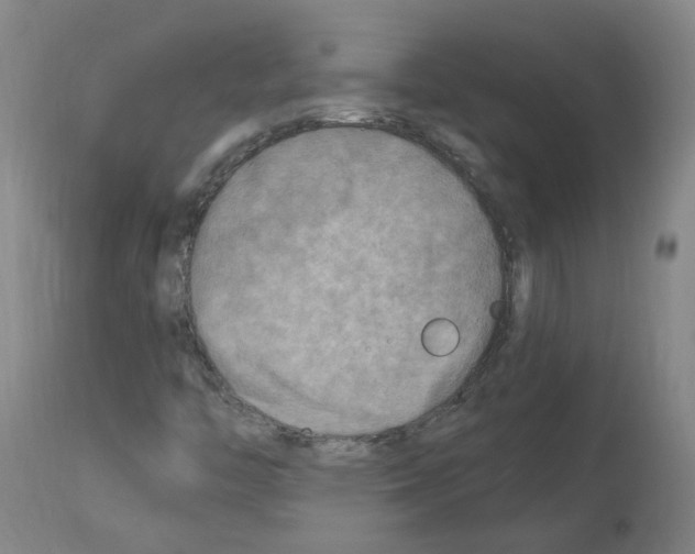 X0000114011446200911131152