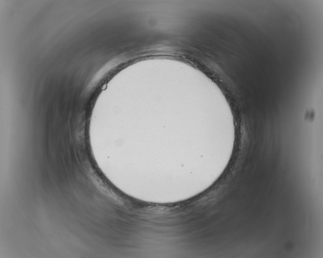 X0000114011450200911131152