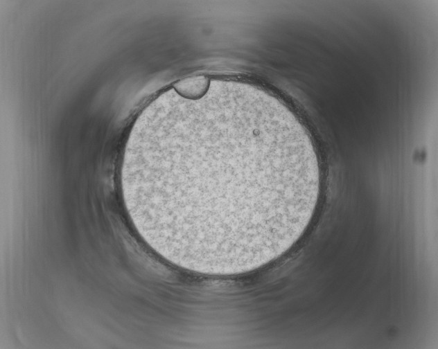 X0000114011451200911131152