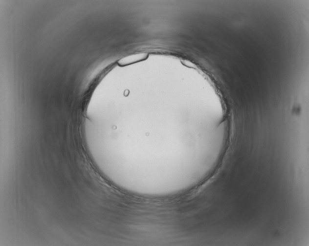 X0000114011453200911131152