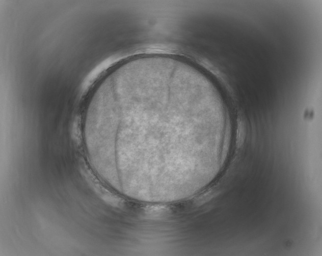 X0000114011454200911131152