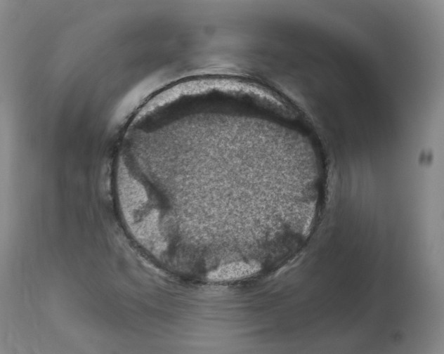 X0000114011455200911131152