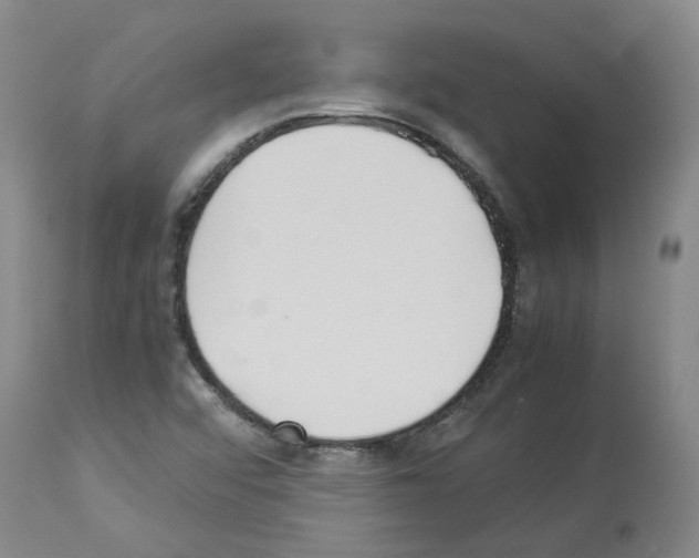 X0000114011456200911131152