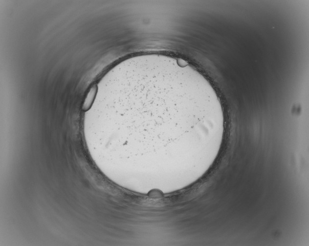 X0000114011457200911131152