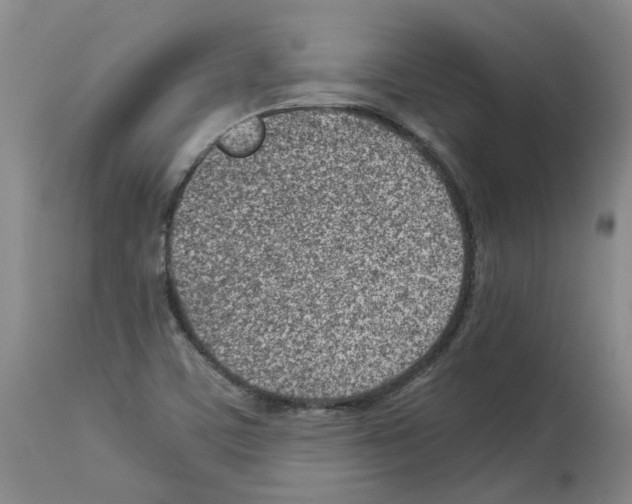 X0000114011459200911131152