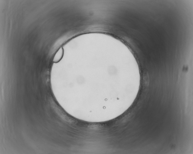 X0000114011461200911131152