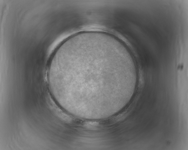 X0000114011462200911131152