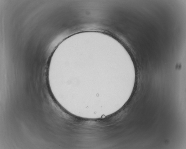 X0000114011463200911131152