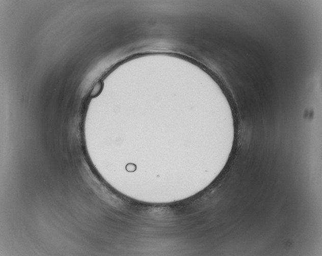 X0000114011464200911131152