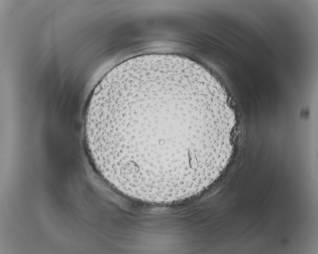 X0000114011467200911131152