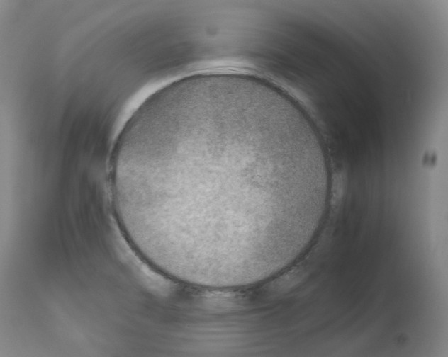 X0000114011470200911131152