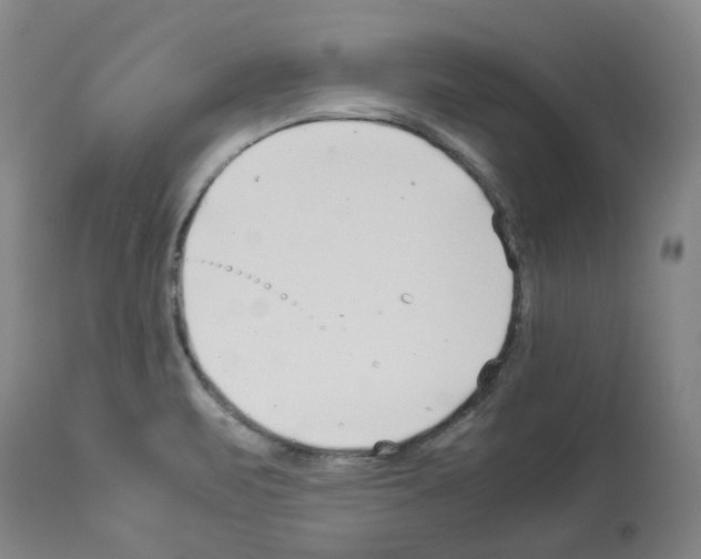 X0000114011471200911131152