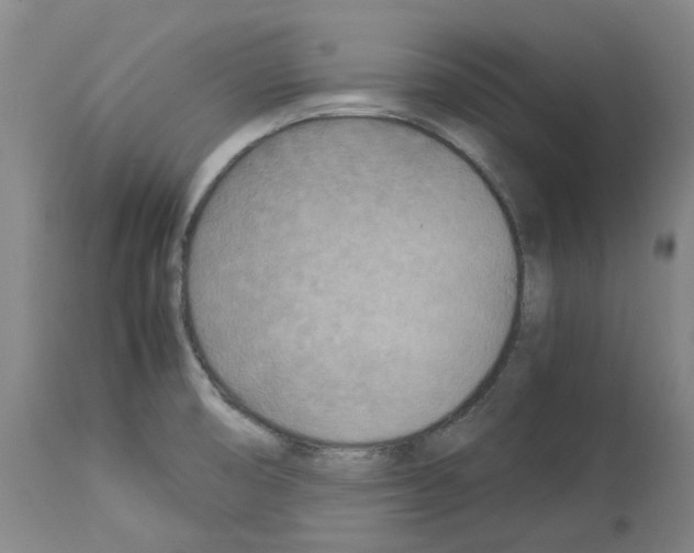 X0000114011474200911131152