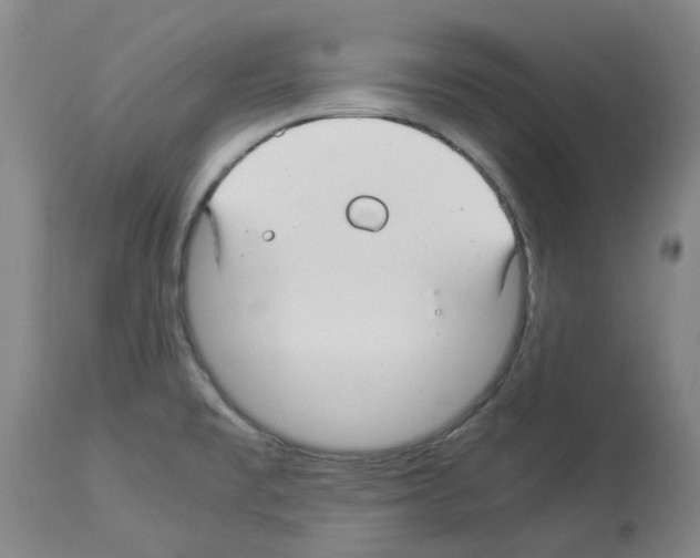 X0000114011477200911131152