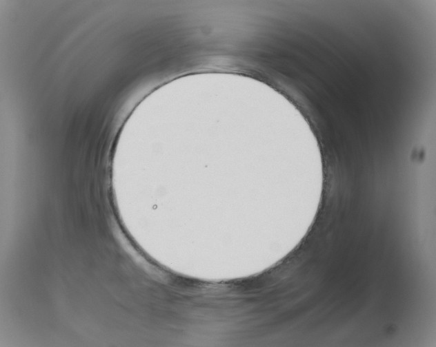 X0000114011479200911131152