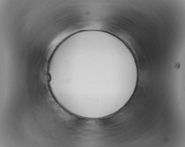 X0000114011480200911131152